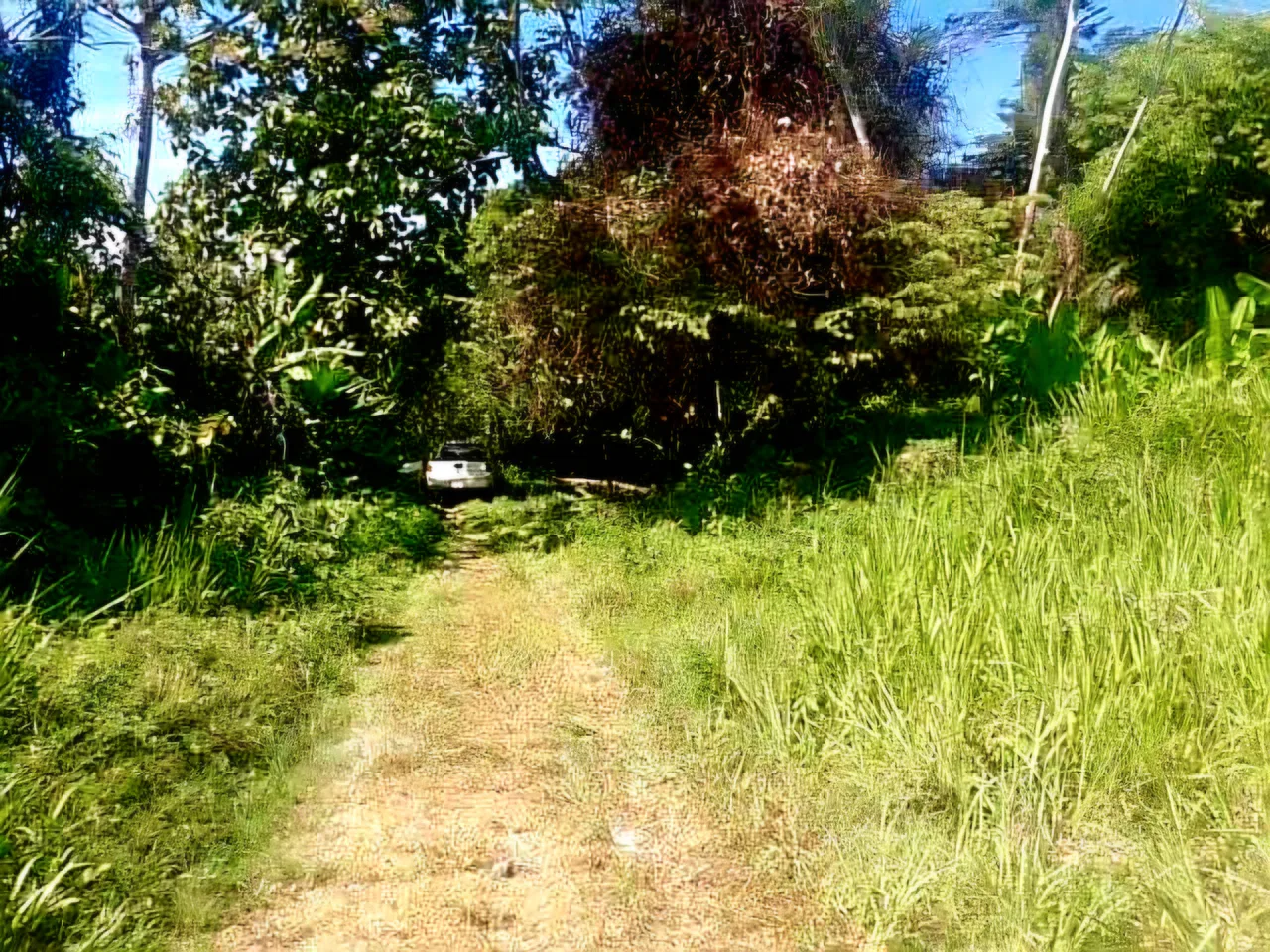 Venta Finca 38329 m2 frente a Playa UVita, photo 5