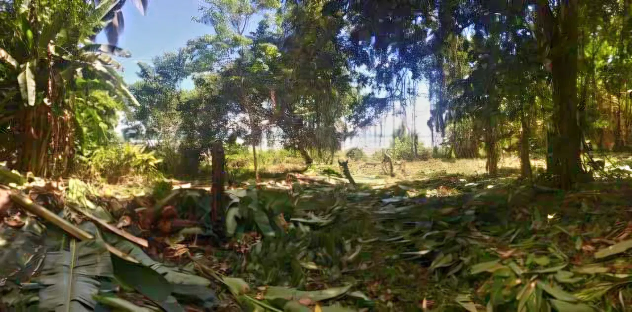 Venta Finca 38329 m2 frente a Playa UVita, photo 6