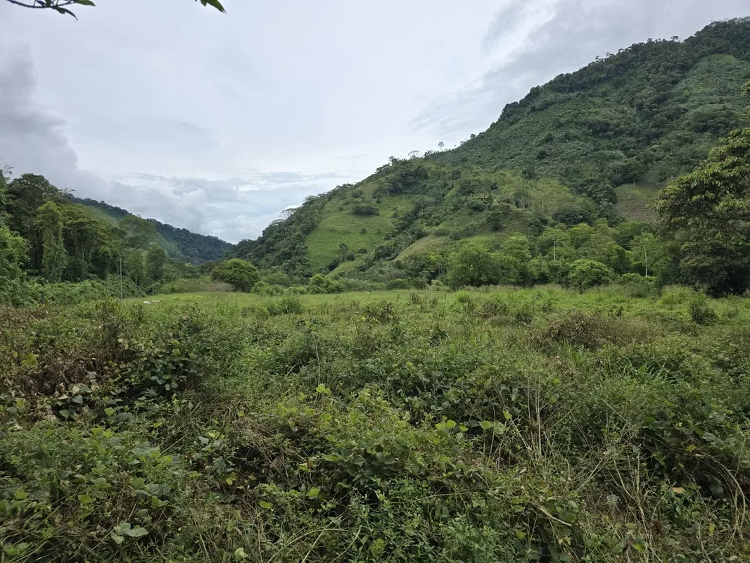 Discover a true hidden gem in Río Nuevo de Savegre, one of the country’s most authentic and well-preserved areas., photo 2