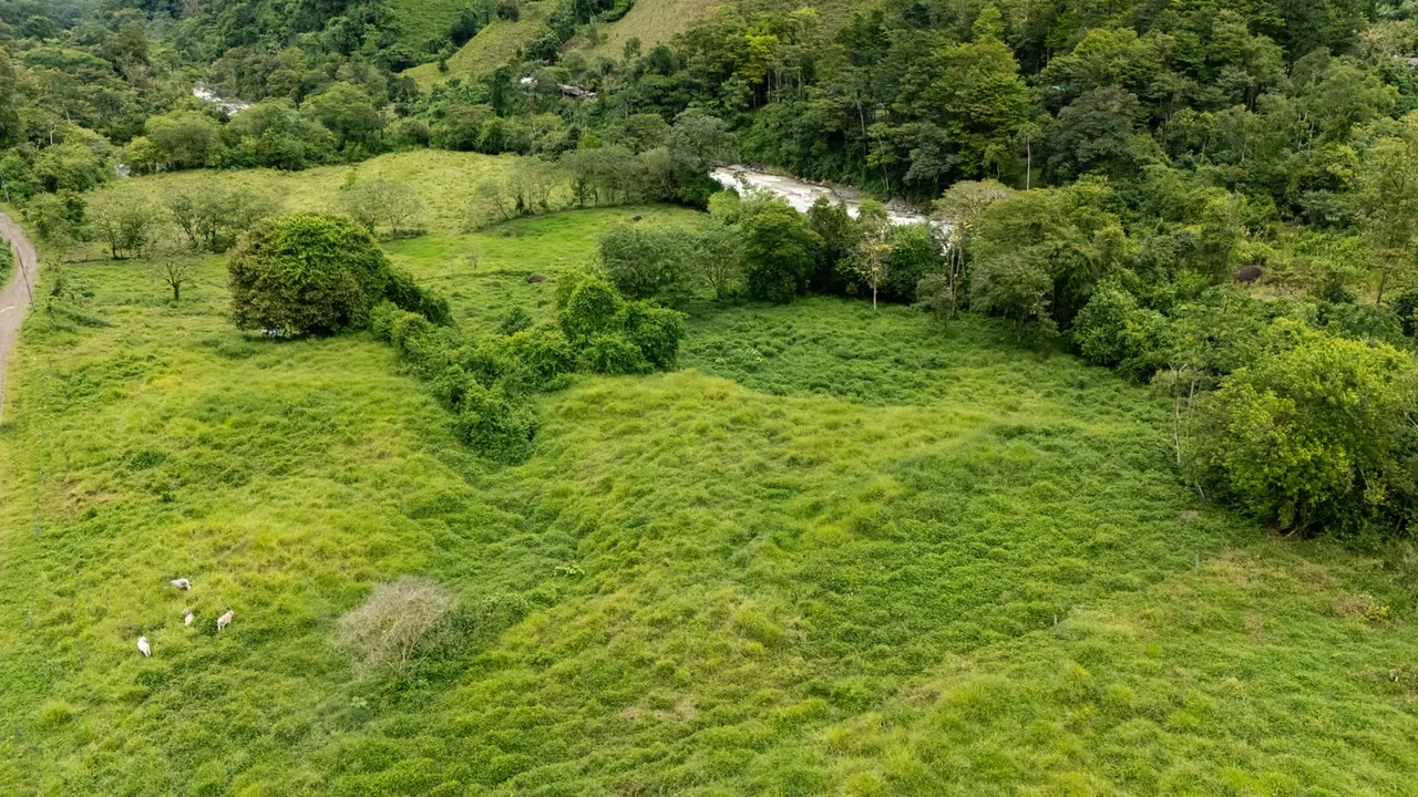 Discover a true hidden gem in Río Nuevo de Savegre, one of the country’s most authentic and well-preserved areas., photo 16