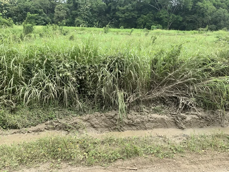 Land For Sale in San Jose De Pinilla, photo 6