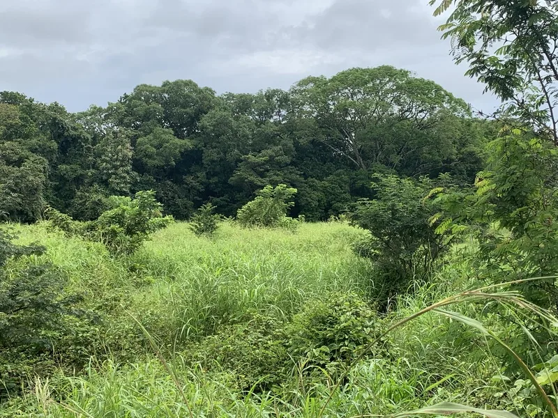 Land For Sale in San Jose De Pinilla, photo 7