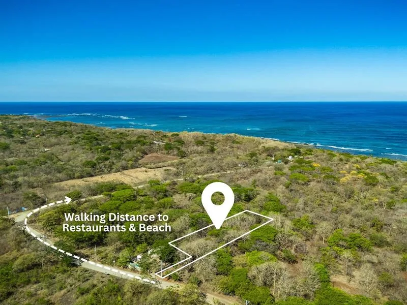 Land For Sale in Avellanas