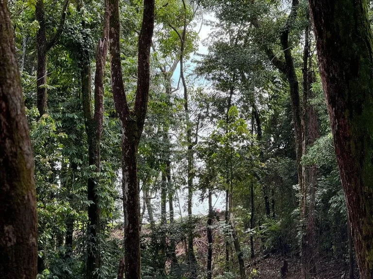 0.5 ACRES – Ocean View Property 1 Min Off Paved Highway In Escaleras Minutes To Dominical And Uvita!!!: Near the Coast and Mountain Home Construction Site For Sale in Dominical, photo 2