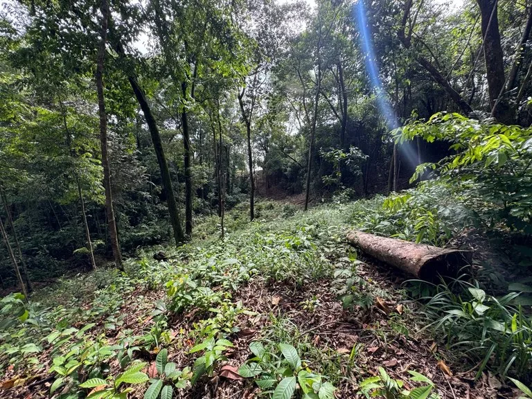 0.5 ACRES – Ocean View Property 1 Min Off Paved Highway In Escaleras Minutes To Dominical And Uvita!!!: Near the Coast and Mountain Home Construction Site For Sale in Dominical, photo 5
