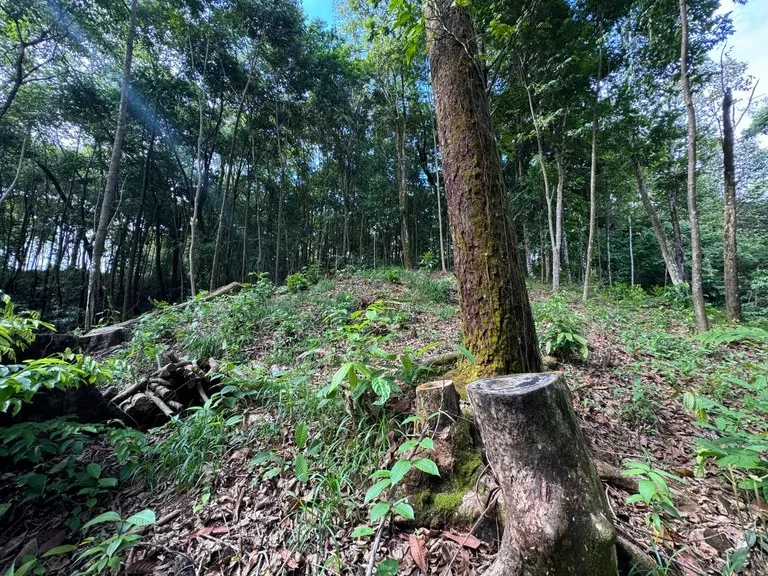 0.5 ACRES – Ocean View Property 1 Min Off Paved Highway In Escaleras Minutes To Dominical And Uvita!!!: Near the Coast and Mountain Home Construction Site For Sale in Dominical, photo 6