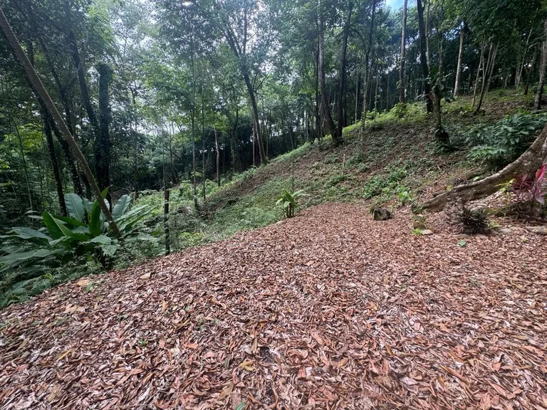 0.5 ACRES – Ocean View Property 1 Min Off Paved Highway In Escaleras Minutes To Dominical And Uvita!!!: Near the Coast and Mountain Home Construction Site For Sale in Dominical, photo 7