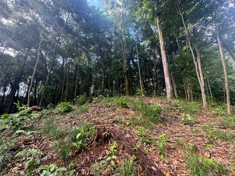 0.5 ACRES – Ocean View Property 1 Min Off Paved Highway In Escaleras Minutes To Dominical And Uvita!!!: Near the Coast and Mountain Home Construction Site For Sale in Dominical, photo 8