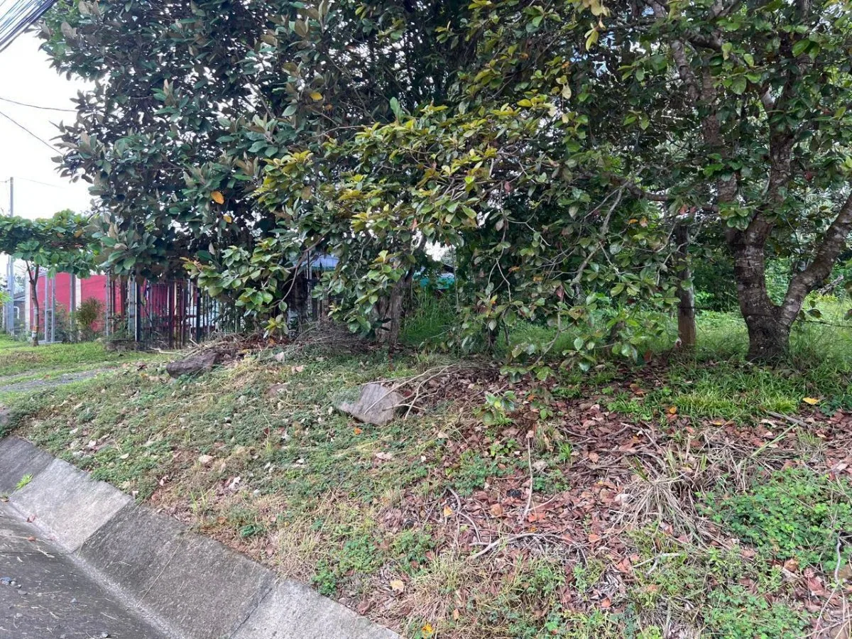 Lote en venta plano con acceso a calle principal en Turrubares #26-1314 GS - Venta en Turrubares, photo 3