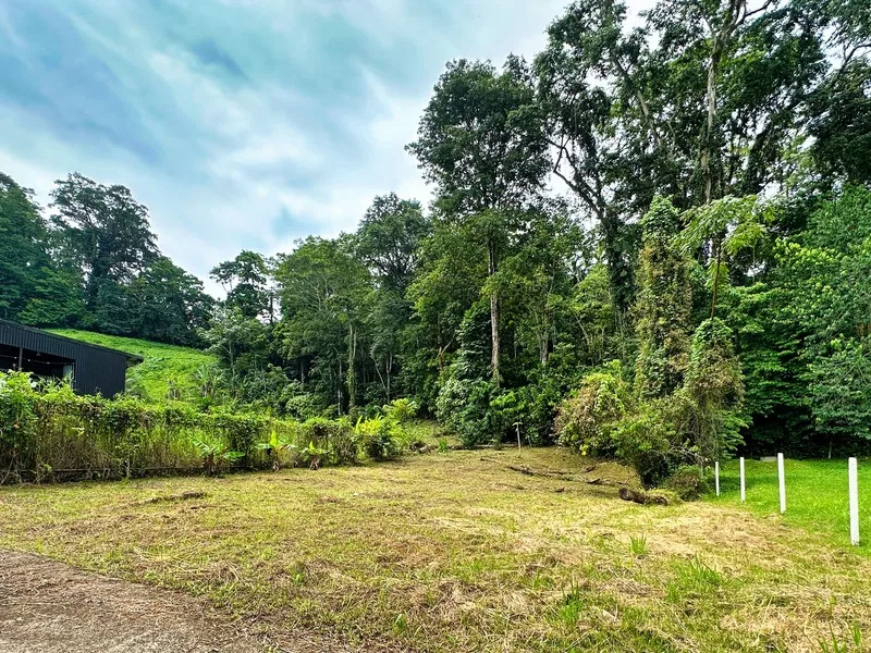 Land For Sale in Puerto Viejo, photo 2
