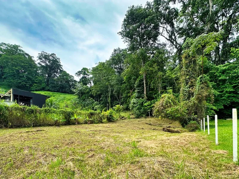 Land For Sale in Puerto Viejo, photo 3