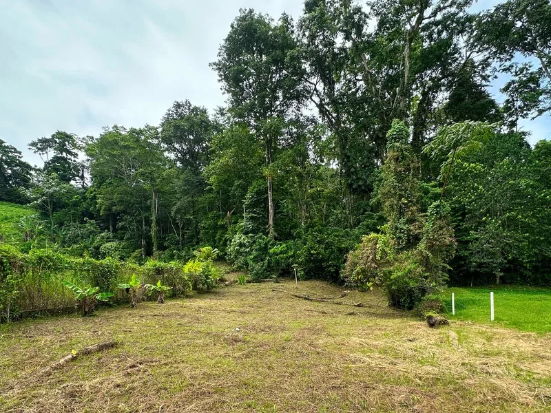 Land For Sale in Puerto Viejo, photo 4