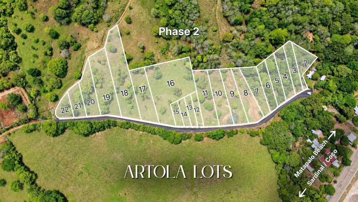 Tropical Lots Near The Coast