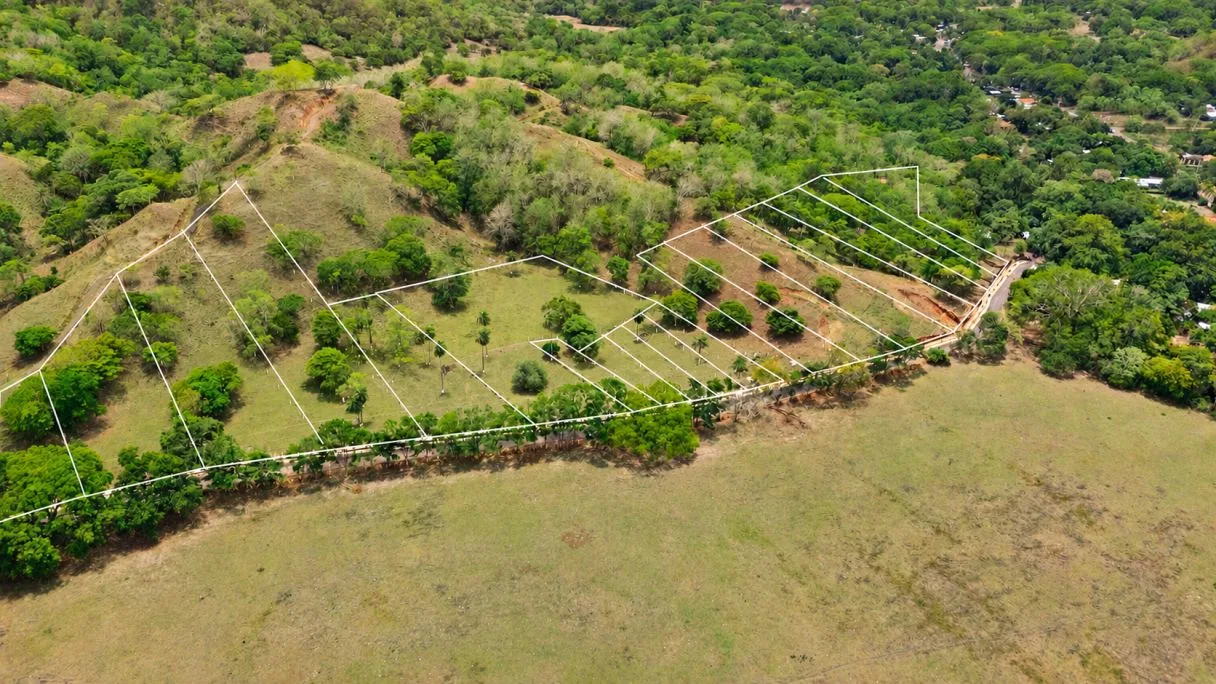 Tropical Lots Near The Coast, photo 2
