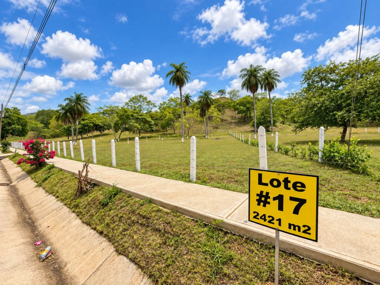 Tropical Lots Near The Coast, photo 5