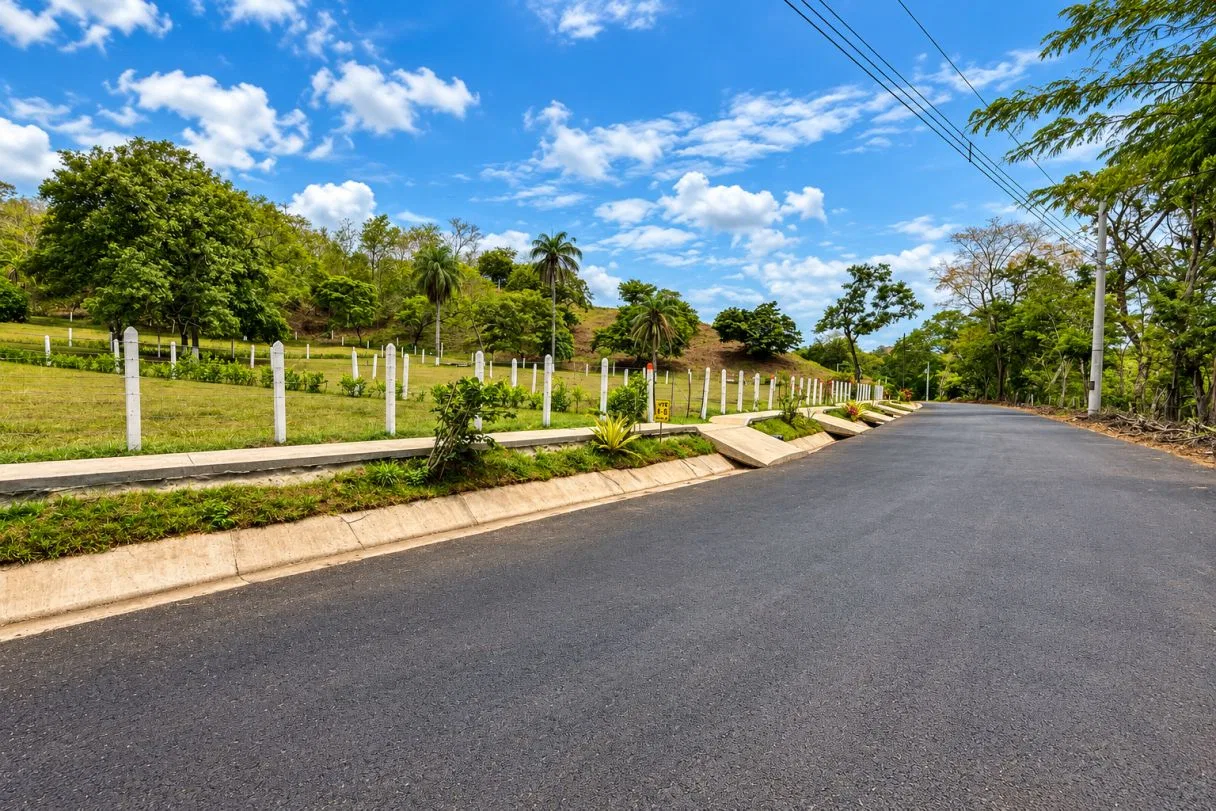 Tropical Lots Near The Coast, photo 6