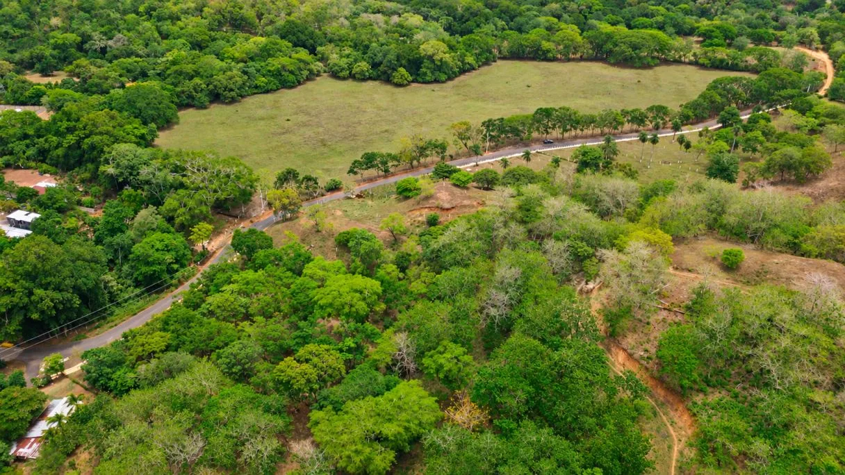 Tropical Lots Near The Coast, photo 7