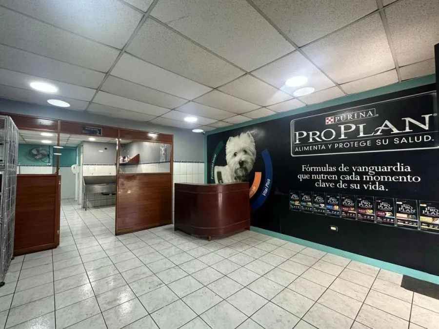 Edificio en Venta en Flores de Heredia. RAH 23-2816 - Venta en Flores, photo 2