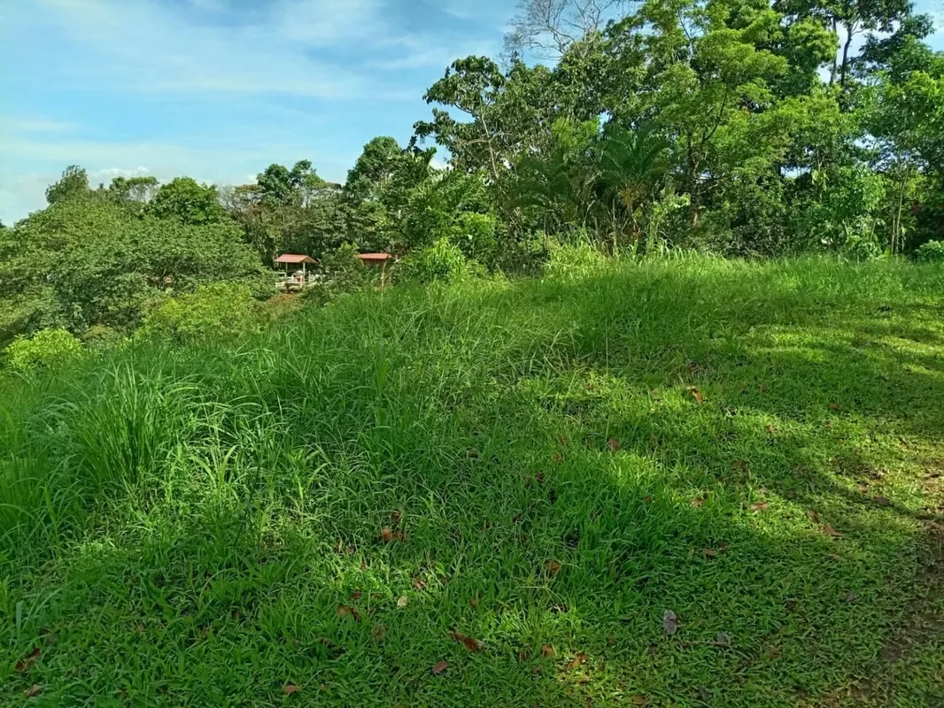 It is a plot of 1330 square meters (approximately 0.33 acres) with one of the best views of Lake Arenal and very close to the village. It can be accessed by two different routes: one ..., photo 5