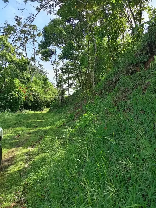 It is a plot of 1330 square meters (approximately 0.33 acres) with one of the best views of Lake Arenal and very close to the village. It can be accessed by two different routes: one ..., photo 6