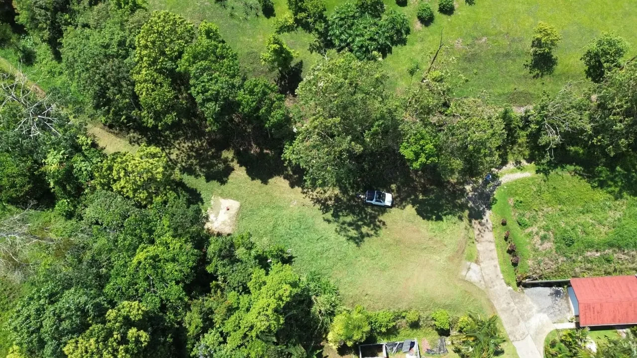 It is a plot of 1330 square meters (approximately 0.33 acres) with one of the best views of Lake Arenal and very close to the village. It can be accessed by two different routes: one ..., photo 7