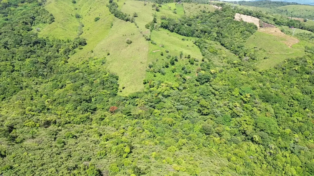 It is a plot of 1330 square meters (approximately 0.33 acres) with one of the best views of Lake Arenal and very close to the village. It can be accessed by two different routes: one ..., photo 8