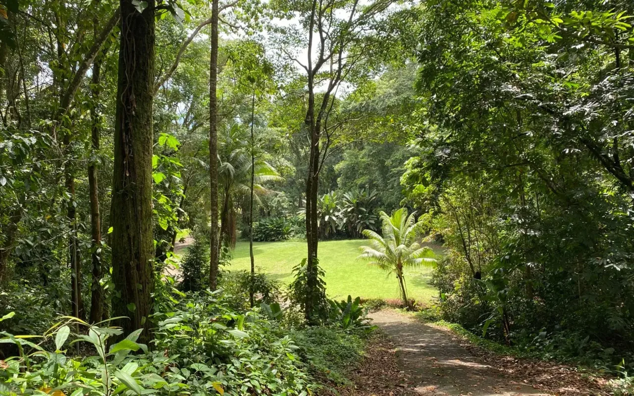 Unparalleled Beachfront Property, Uvita, Dominical, Bahia Ballena, Osa, Puntarenas, Costa Rica 60504, Uvita