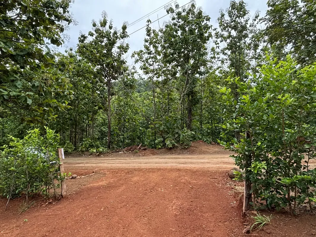 Located in the highly desirable area of Pinilla, just a few minutes from the beautiful Playa Avellanas, this 564 m² lot is an excellent opportunity to build your dream home, vacation ...