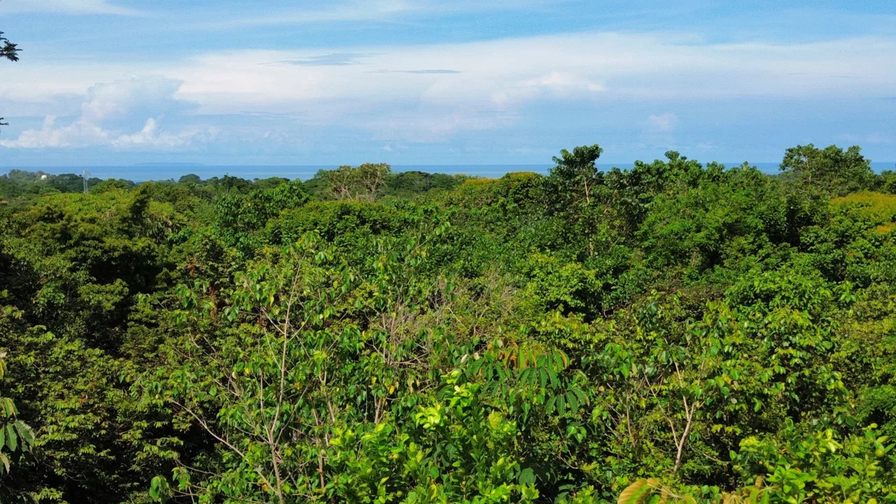 FIRE SALE - Cano Island & Ocean Views, w/Approved Building Plans, photo 3