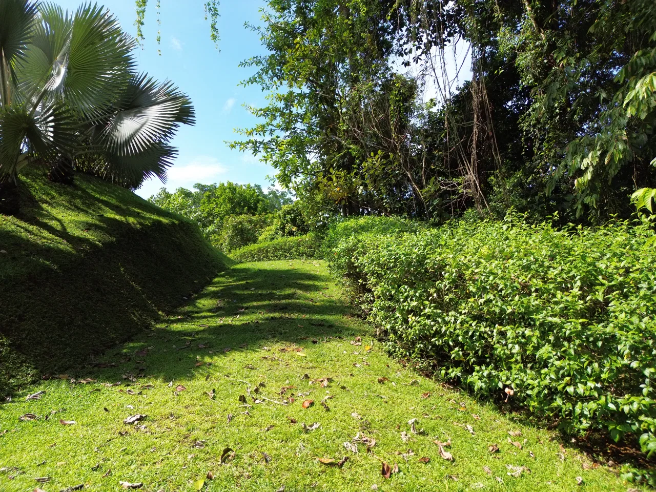 FIRE SALE - Cano Island & Ocean Views, w/Approved Building Plans, photo 4
