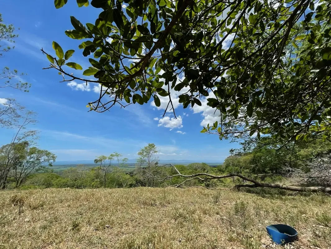 Farm for sale in the ...