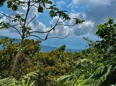 "San Luis Ridgetop Ocean & Mountain View Property with Multiple Building Sites", photo 4