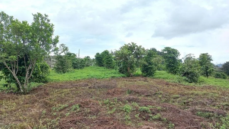 TERRENO EN VENTA EN MATA DE PLÁTANO, GOICOECHEA RAH 2471  - Venta en Mata de Platano, photo 5
