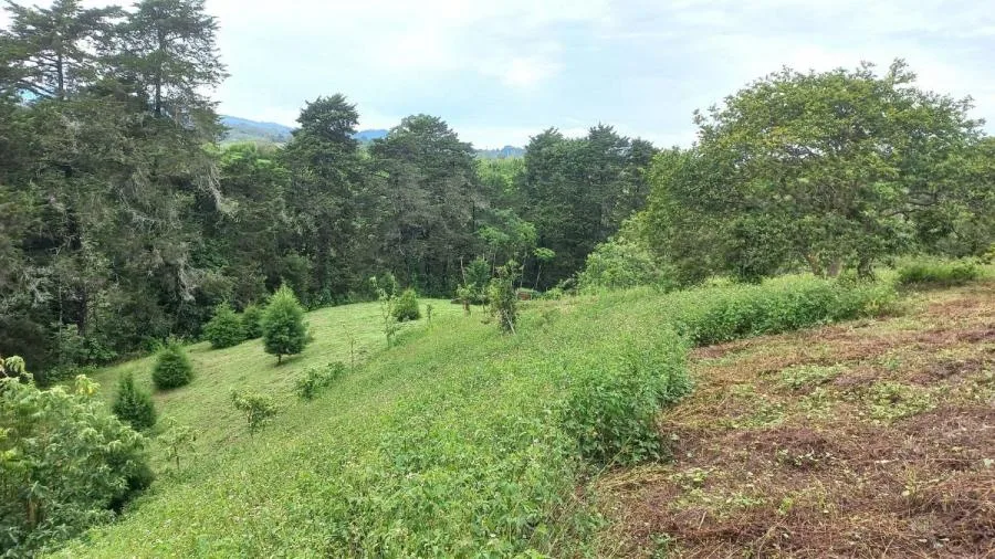 TERRENO EN VENTA EN MATA DE PLÁTANO, GOICOECHEA RAH 2471  - Venta en Mata de Platano, photo 7