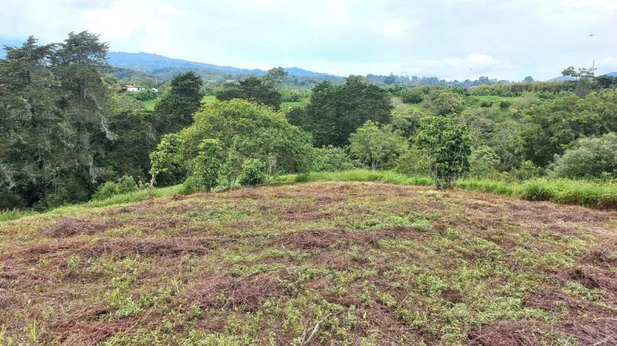 TERRENO EN VENTA EN MATA DE PLÁTANO, GOICOECHEA RAH 2471  - Venta en Mata de Platano, photo 8
