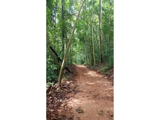 INCREDIBLE ECOLOGICAL PROPERTY WITH 4 SPECTACULAR WATERFALLS, photo 4
