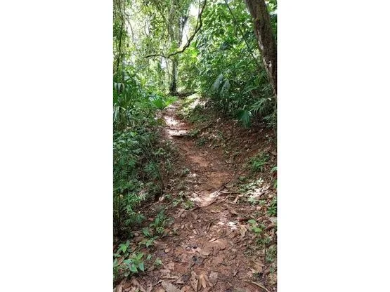 INCREDIBLE ECOLOGICAL PROPERTY WITH 4 SPECTACULAR WATERFALLS, photo 5