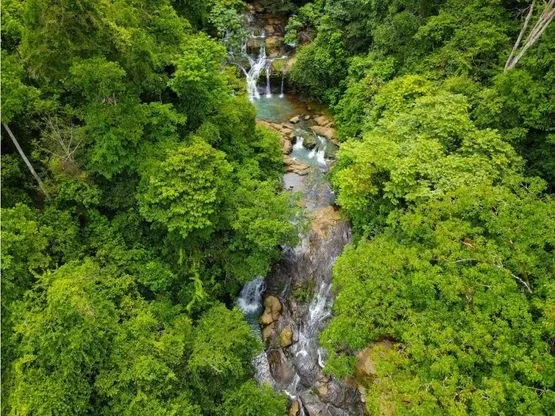 INCREDIBLE ECOLOGICAL PROPERTY WITH 4 SPECTACULAR WATERFALLS, photo 10