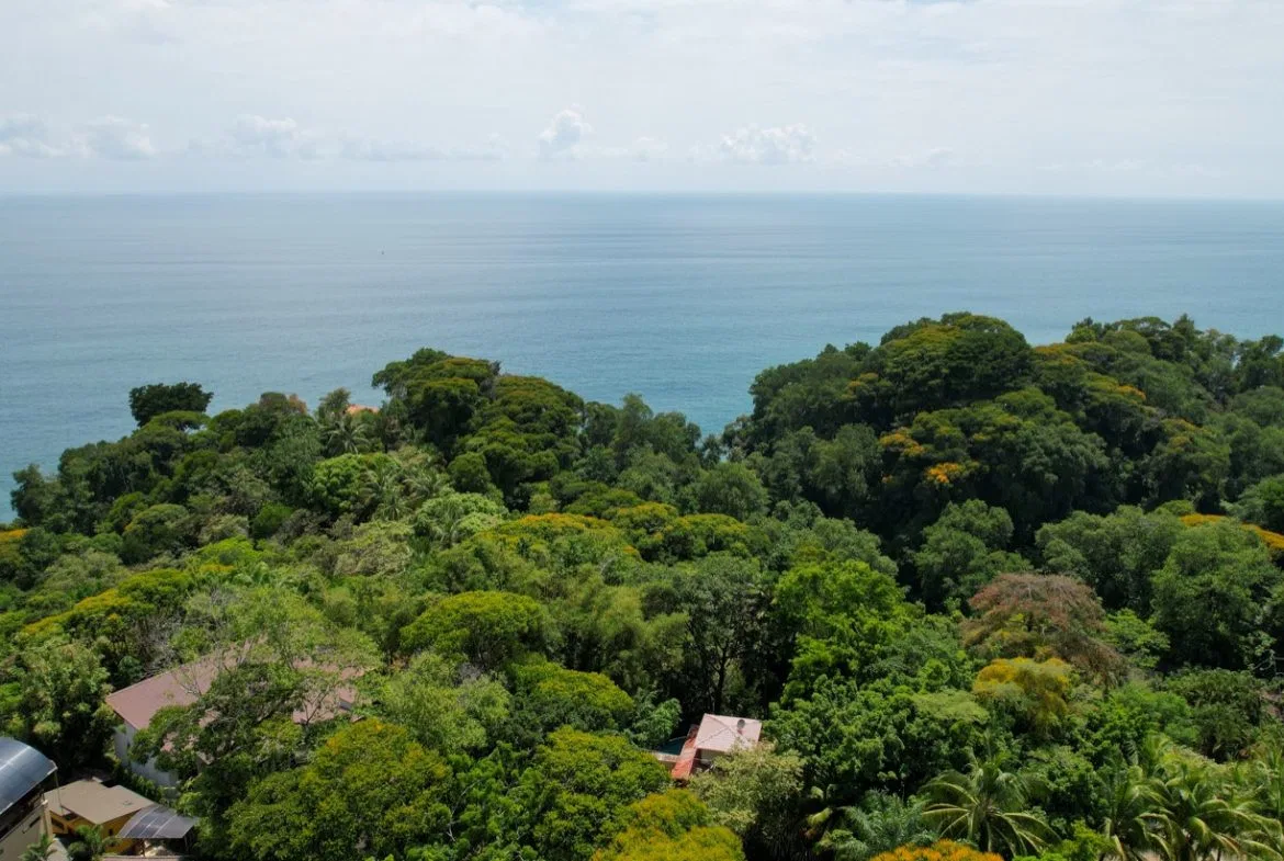 JUNGLE VIEW 2 BEDROOM HOME IN DOMINICAL, photo 14