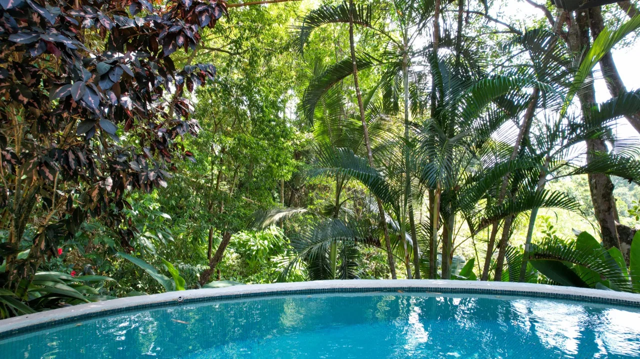 JUNGLE VIEW 2 BEDROOM HOME IN DOMINICAL, photo 7