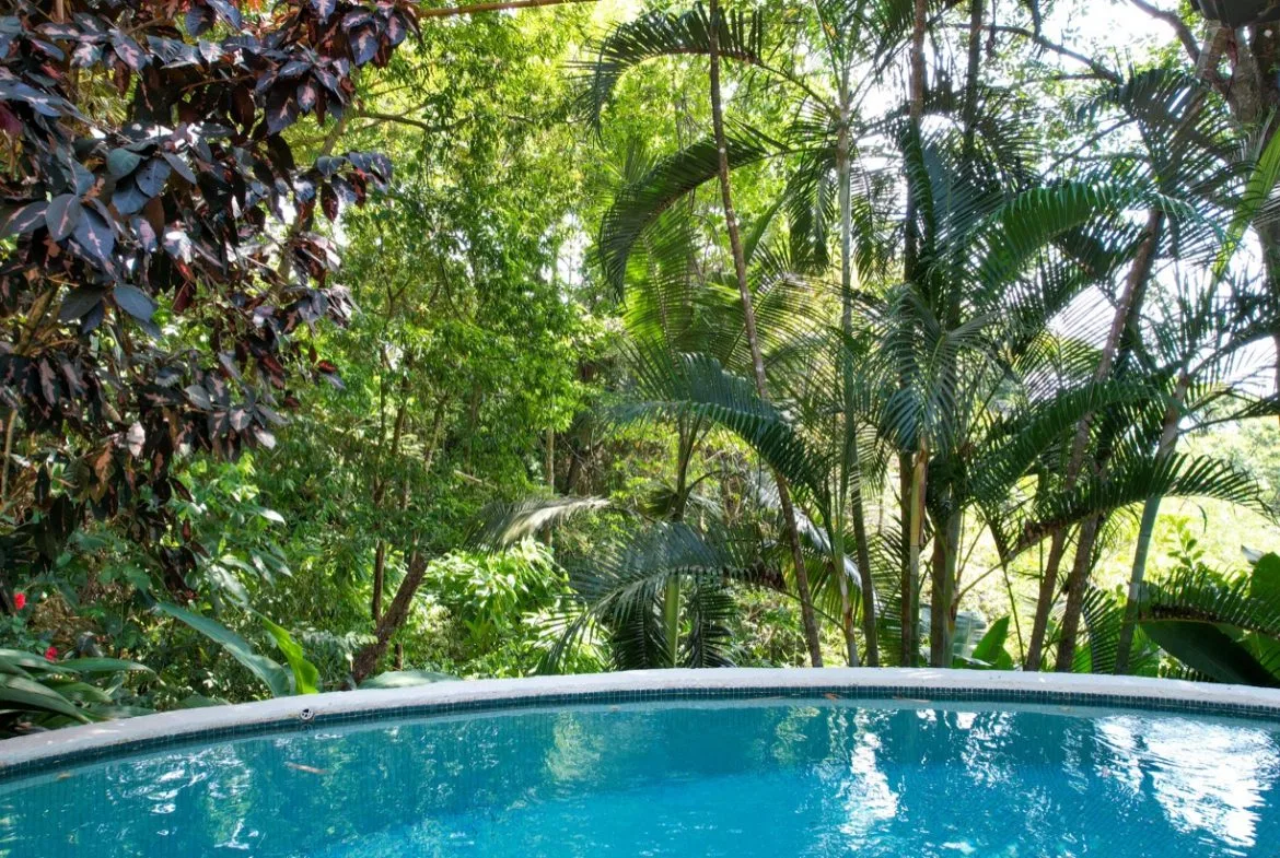 JUNGLE VIEW 2 BEDROOM HOME IN DOMINICAL, photo 8