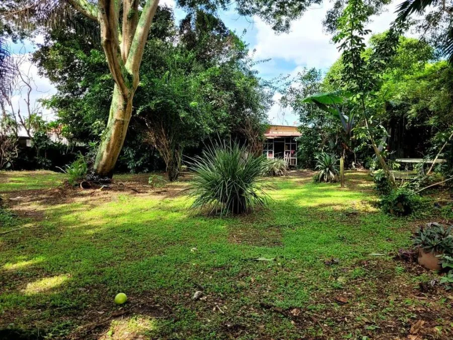 LOTE EN VENTA EN MORAVIA, SAN JOSÉ MLS #23-1356  - Venta en Moravia, photo 8