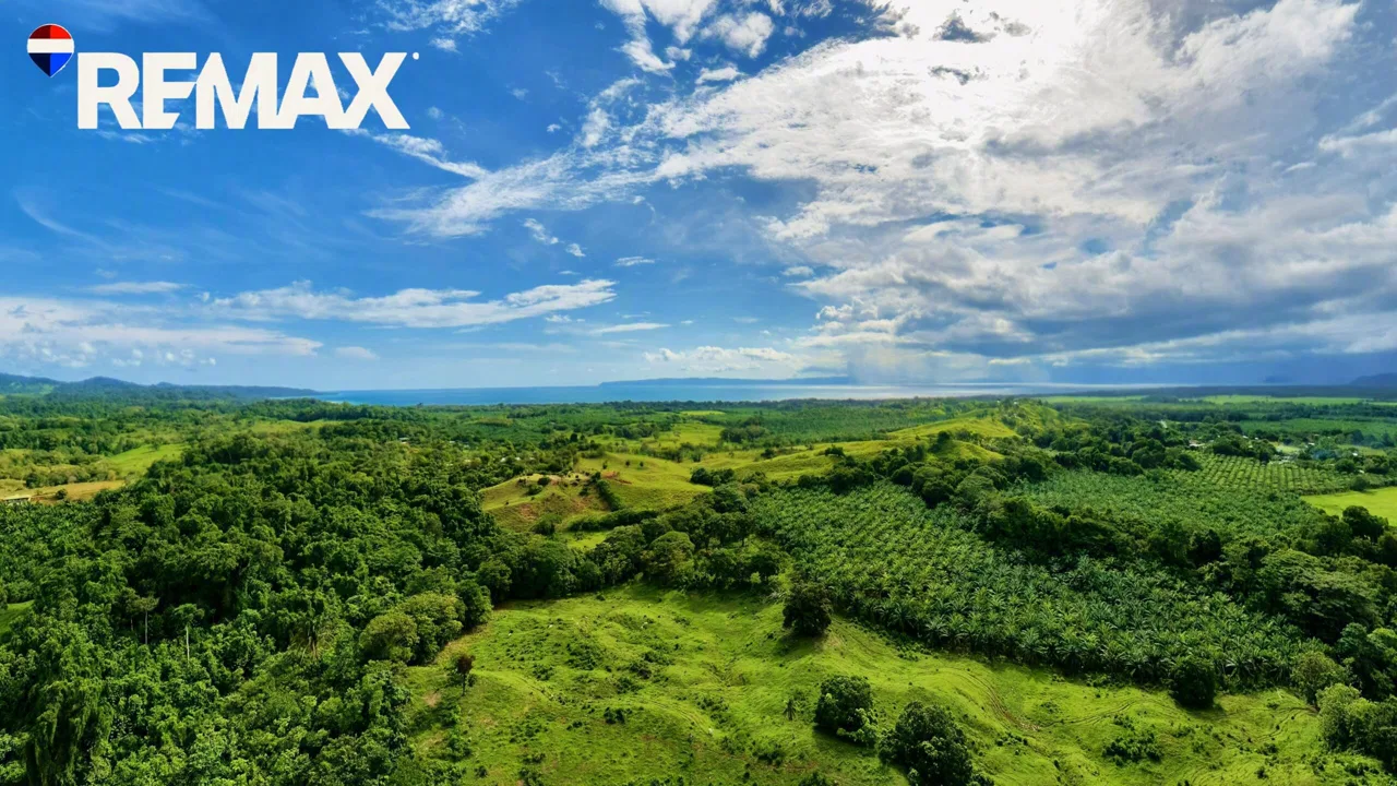 Titled Ocean View Land for Sale in La Virgen, Golfito, Puntarenas – 2.3 Hectares - REMAX Jungle Properties | Pavones Golfito Real Estate