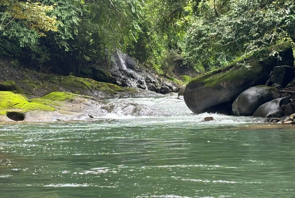 3-BEDROOM MOUNTAIN VIEW HOME WITH NATURE AND RIVER AROUND – 14 ACRES, photo 20