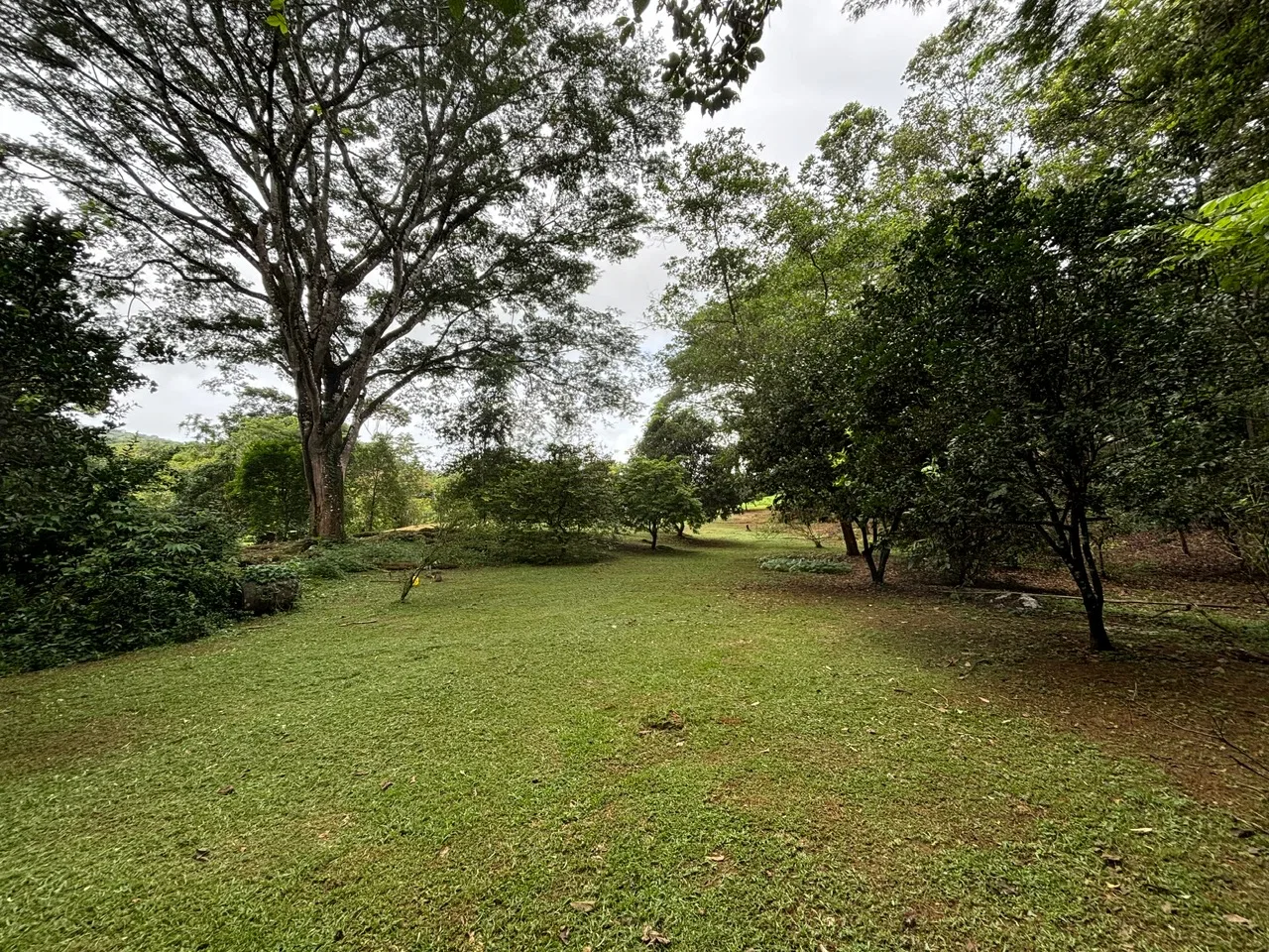 3-BEDROOM MOUNTAIN VIEW HOME WITH NATURE AND RIVER AROUND – 14 ACRES, photo 23
