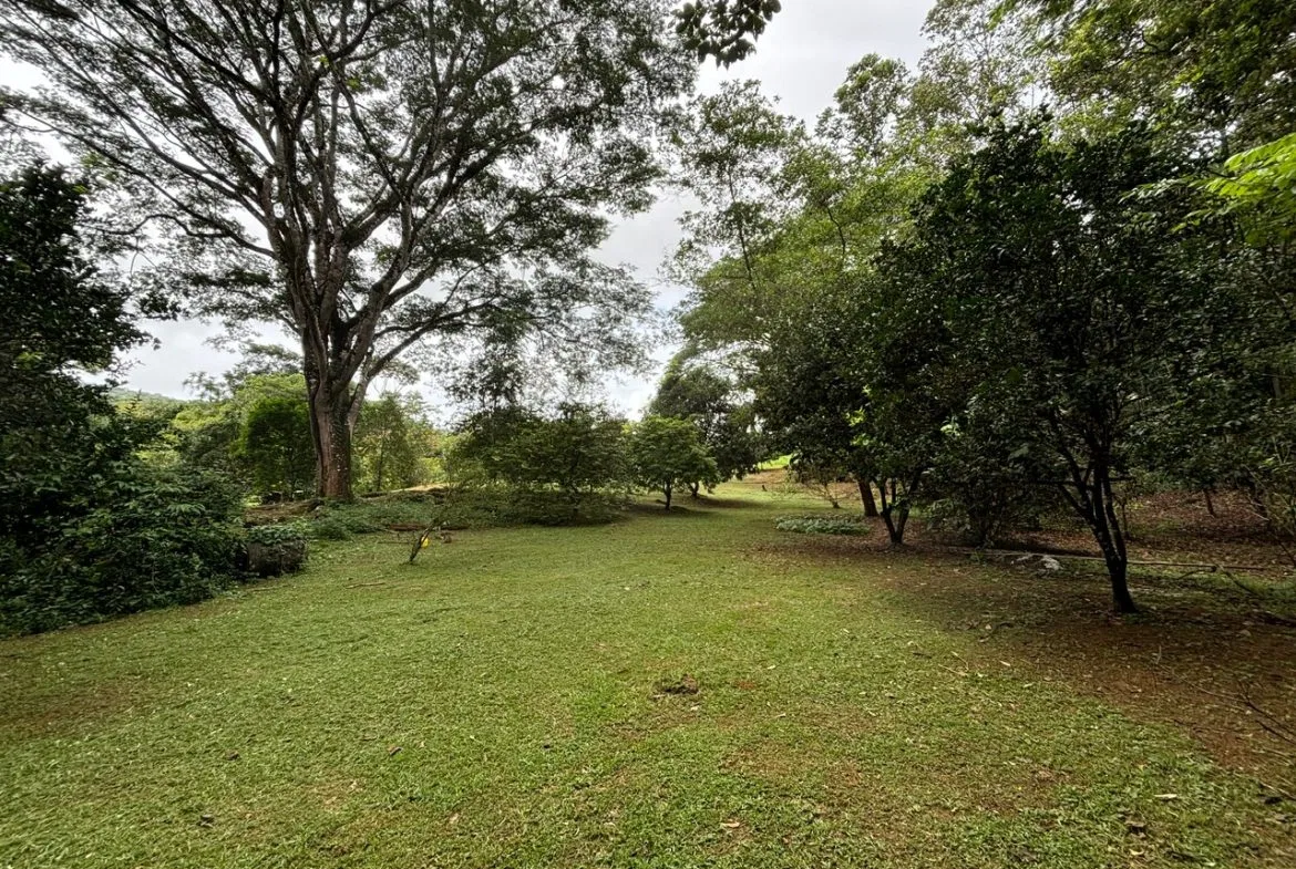 3-BEDROOM MOUNTAIN VIEW HOME WITH NATURE AND RIVER AROUND – 14 ACRES, photo 24