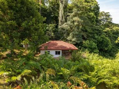 Home with Ocean Valley View, photo 4