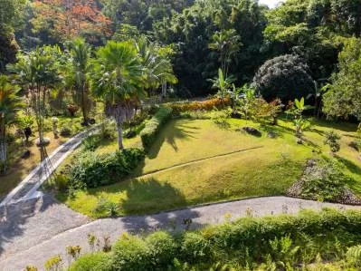 Home with Ocean Valley View, photo 5