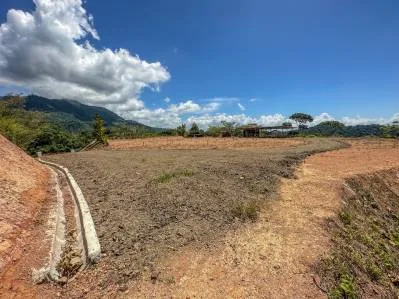 360° Ocean & Jungle View River Lot in Tres Rios, Ojochal, photo 7