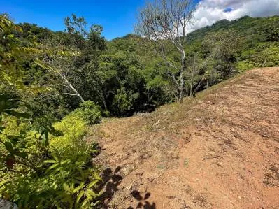 360° Ocean & Jungle View River Lot in Tres Rios, Ojochal, photo 9